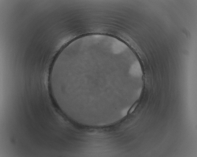 X0000116490434200912292108