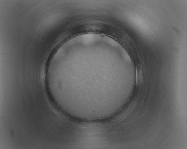 X0000116490435200912292108