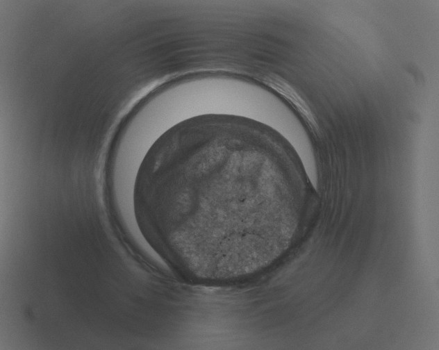 X0000116490436200912292108