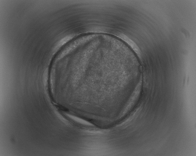 X0000116490437200912292108