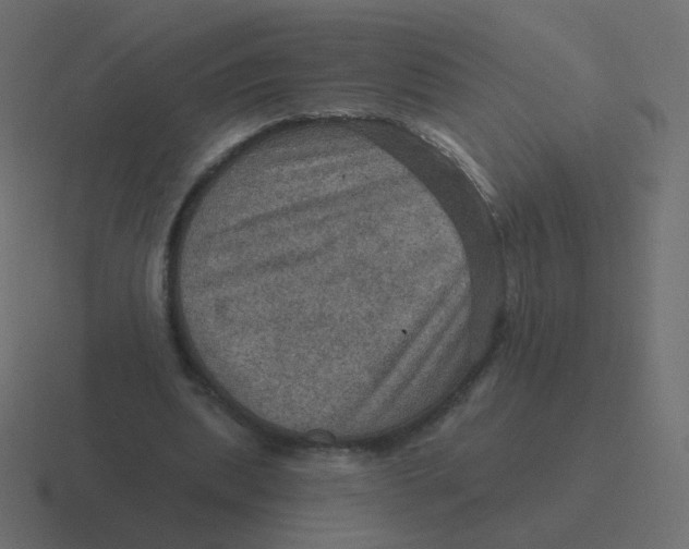 X0000116490439200912292108