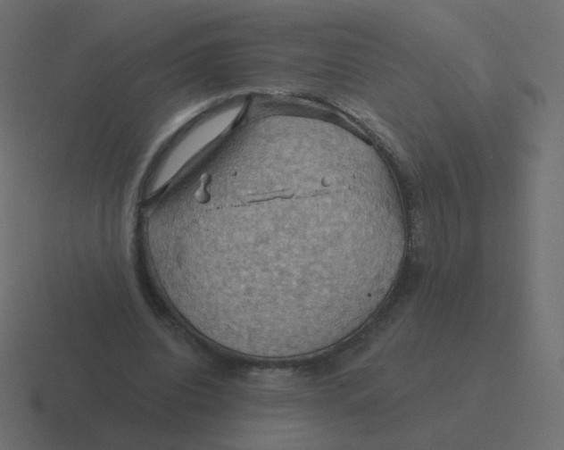 X0000116490440200912292108