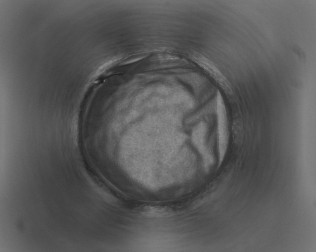 X0000116490442200912292108