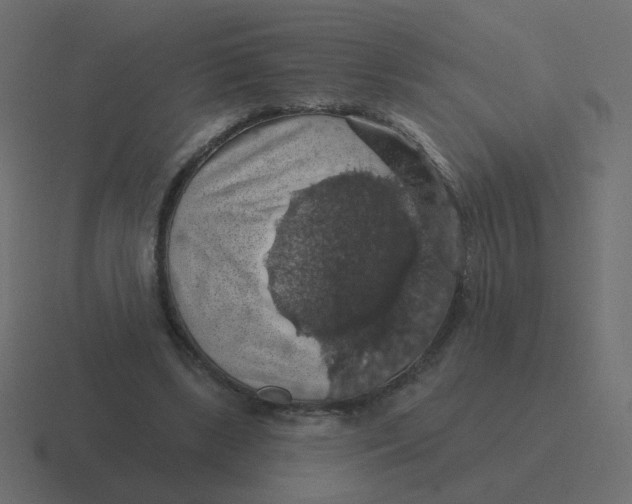 X0000116490443200912292108