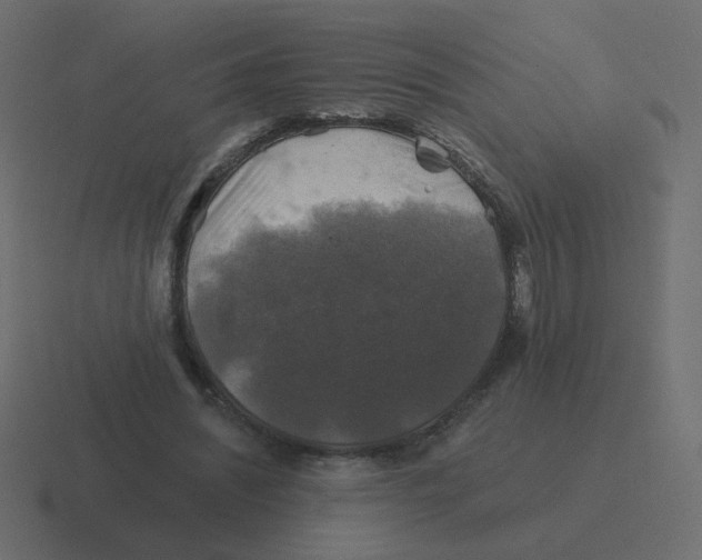 X0000116490444200912292108