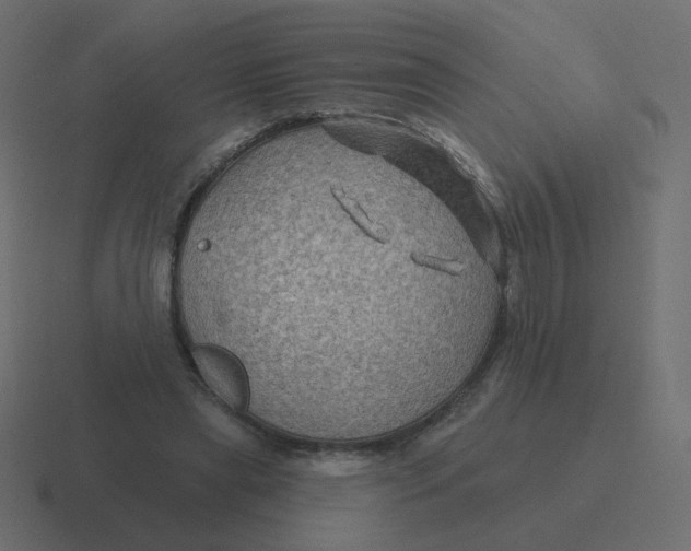 X0000116490445200912292108