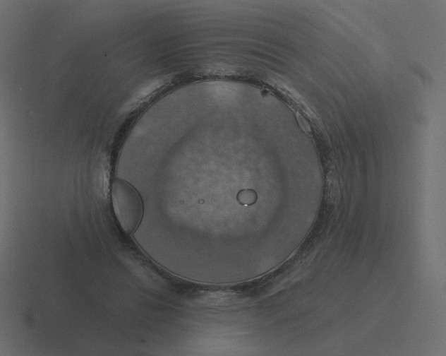 X0000116490446200912292108