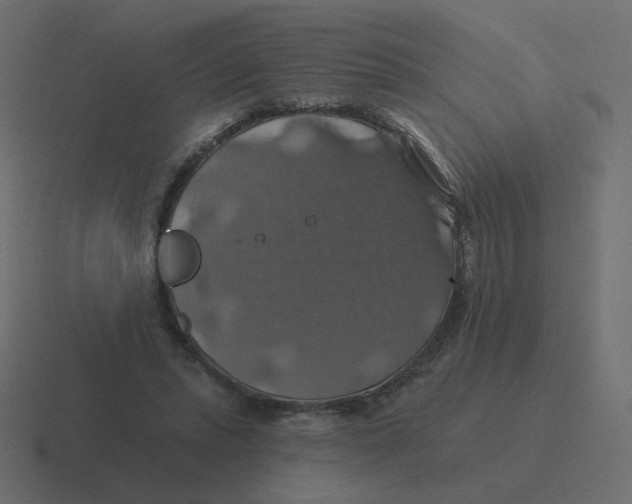 X0000116490447200912292108