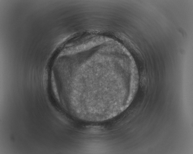 X0000116490448200912292108