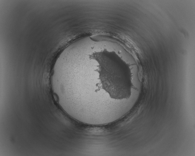 X0000116490449200912292108