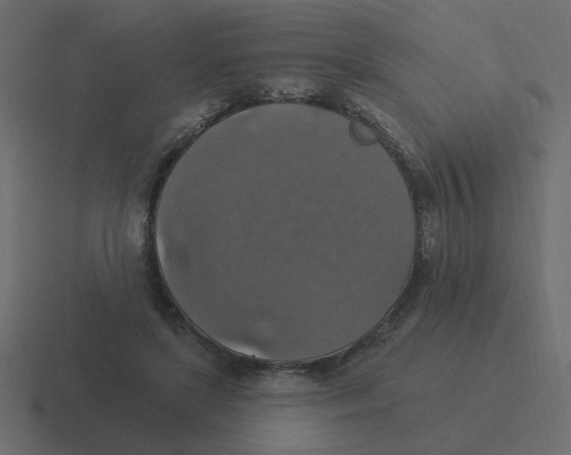 X0000116490451200912292108