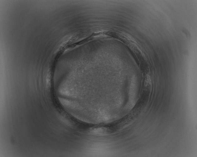 X0000116490452200912292109