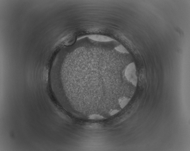 X0000116490454200912292109