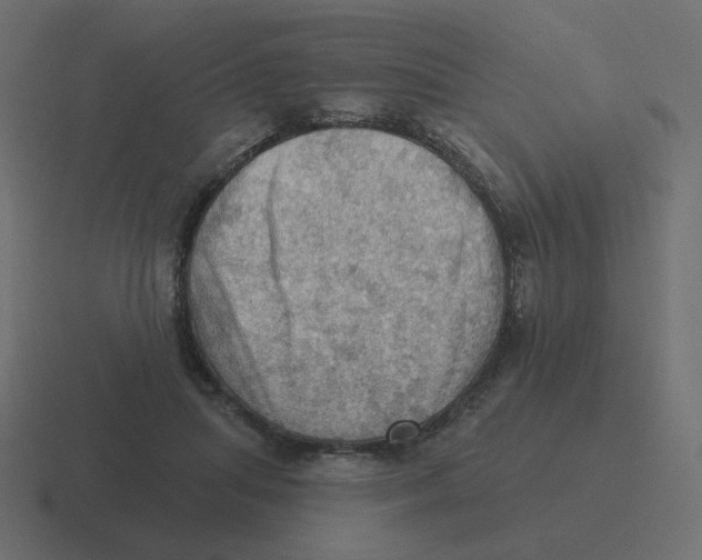 X0000116490455200912292109