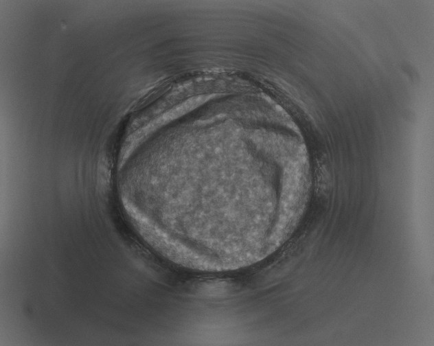 X0000116490456200912292109