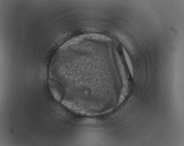 X0000116490457200912292109