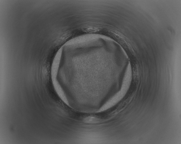 X0000116490460200912292109