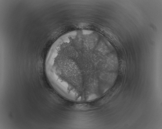 X0000116490461200912292109