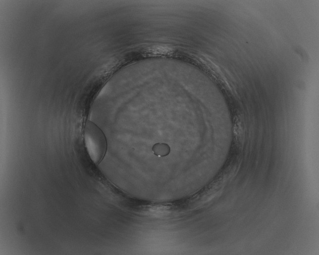 X0000116490462200912292109