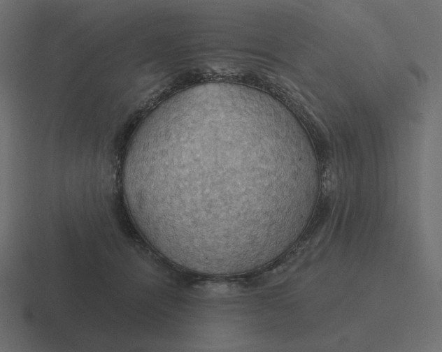 X0000116490464200912292109