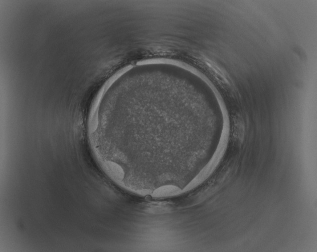 X0000116490465200912292109