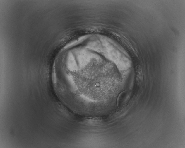 X0000116490466200912292109