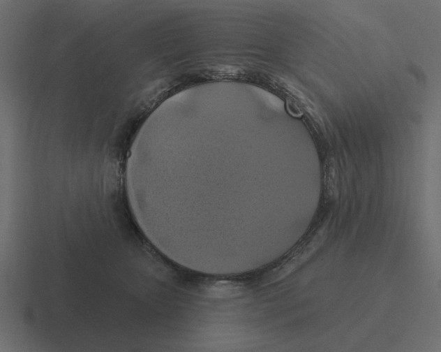 X0000116490467200912292109