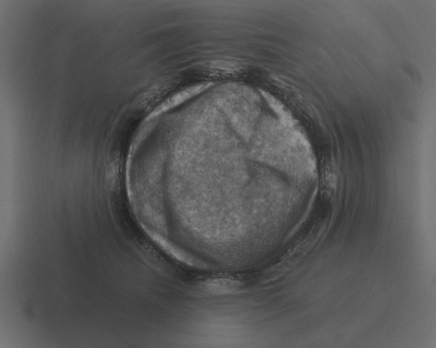 X0000116490468200912292109