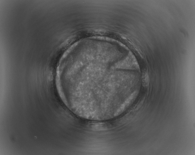 X0000116490472200912292109