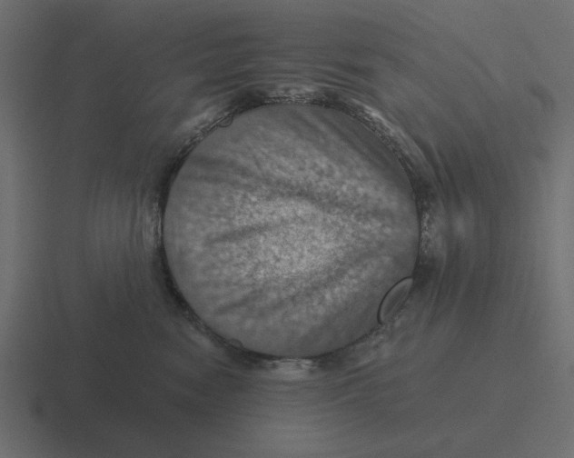 X0000116490474200912292109