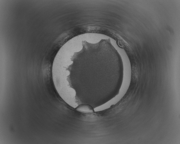 X0000116490475200912292109