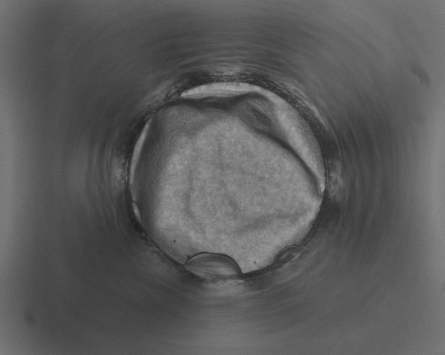 X0000116490476200912292109