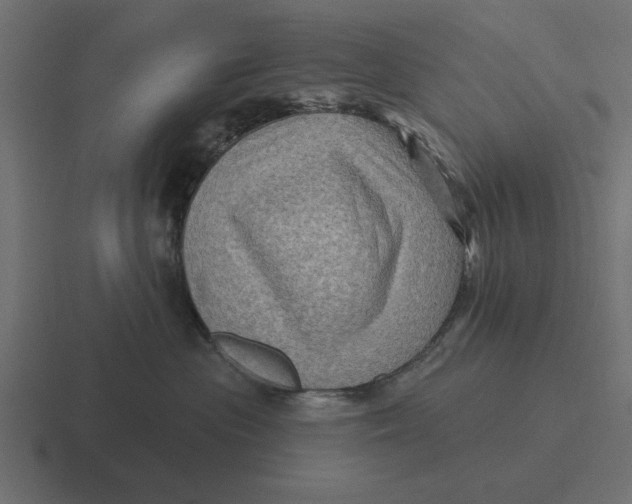 X0000116490477200912292109