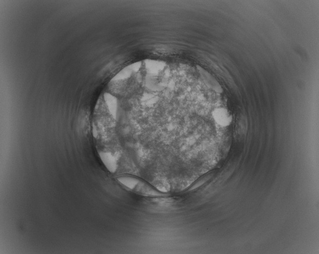 X0000116490478200912292109