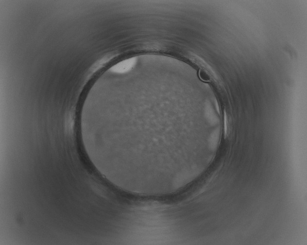 X0000116490483200912292108