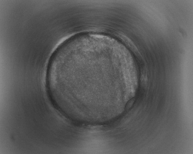 X0000116490484200912292108