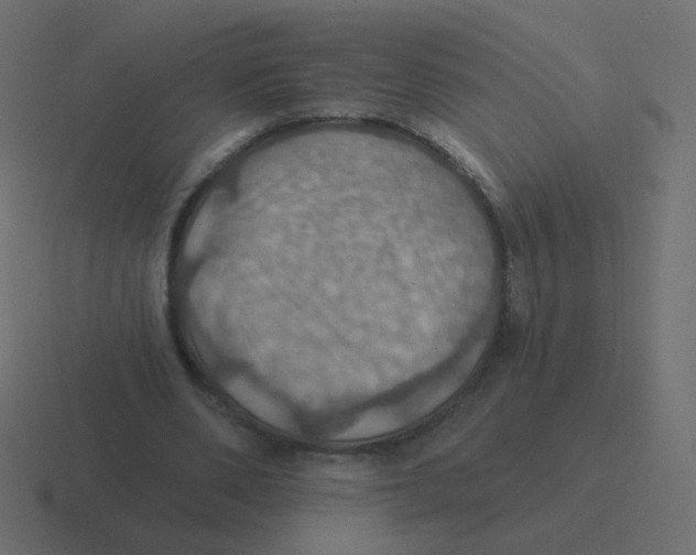 X0000116490486200912292108