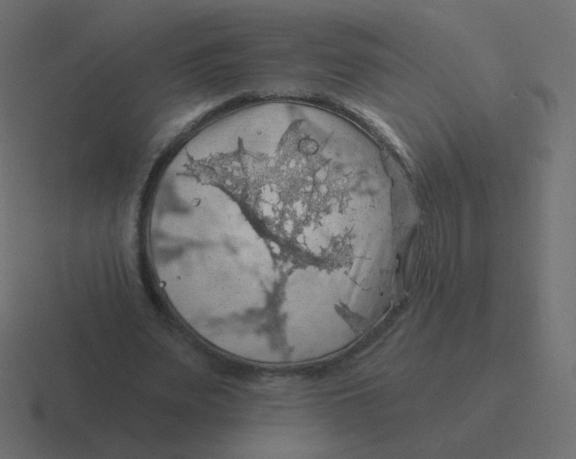 X0000116490487200912292108