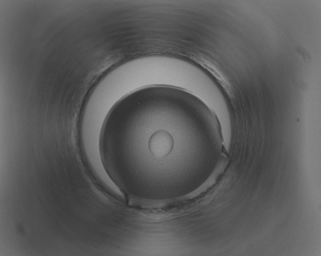 X0000116490489200912292108