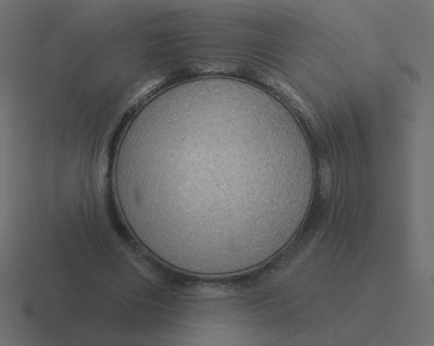 X0000116490490200912292108