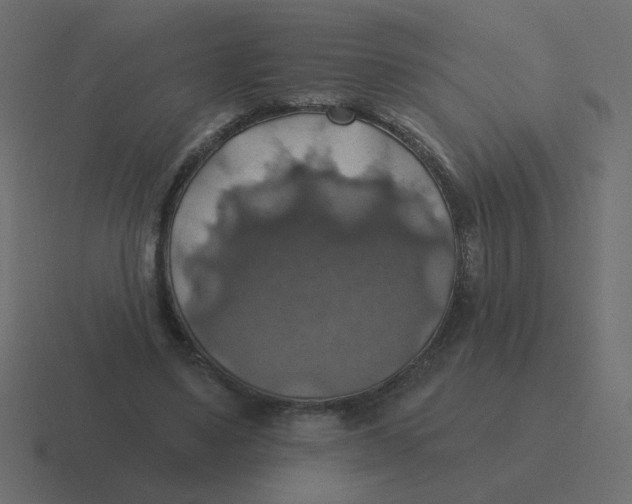 X0000116490491200912292108