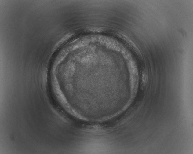 X0000116490492200912292108