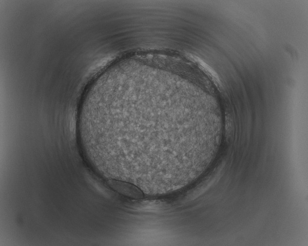 X0000116490493200912292108