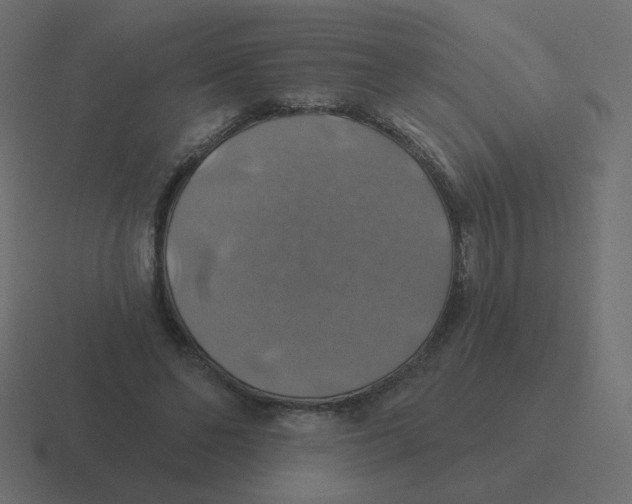 X0000116490494200912292108