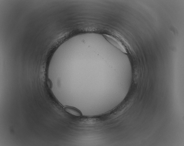 X0000116490497200912292108