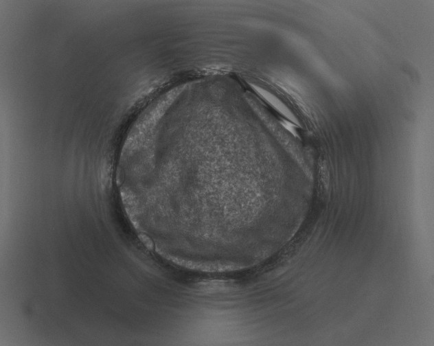 X0000116490499200912292108