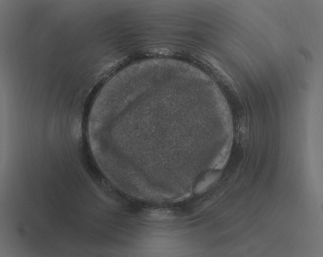 X0000116490500200912292108