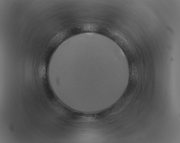 X0000116490502200912292108