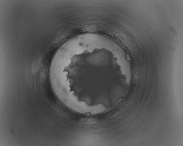 X0000116490503200912292108