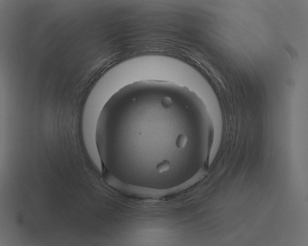 X0000116490505200912292108